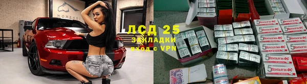 стаф Белокуриха