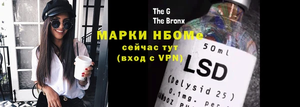 стаф Белокуриха