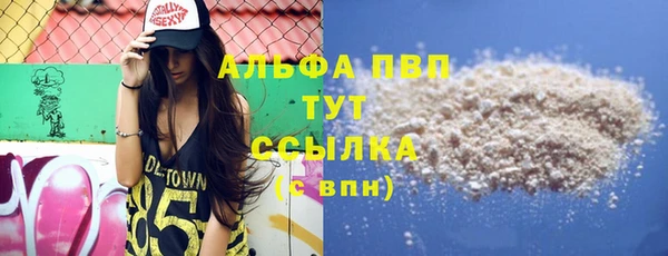 стаф Белокуриха