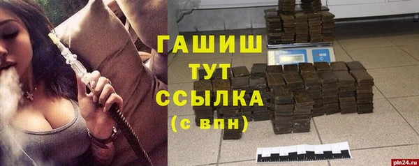 стаф Белокуриха