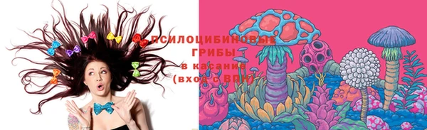 хмурый Белоозёрский