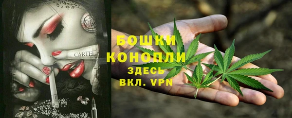 стаф Белокуриха