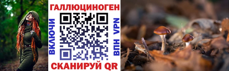 Галлюциногенные грибы GOLDEN TEACHER как найти наркотики Бугульма