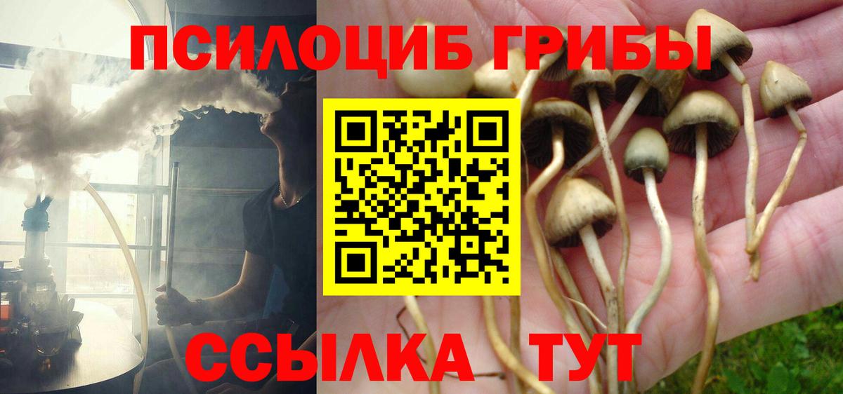 Галлюциногенные грибы прущие грибы  Галлюциногенные грибы прущие грибы  Бугульма  Вход с VPN 
