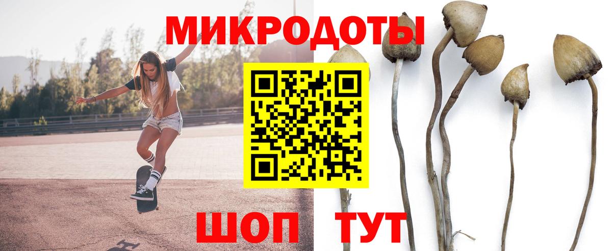 Галлюциногенные грибы GOLDEN TEACHER Бугульма
